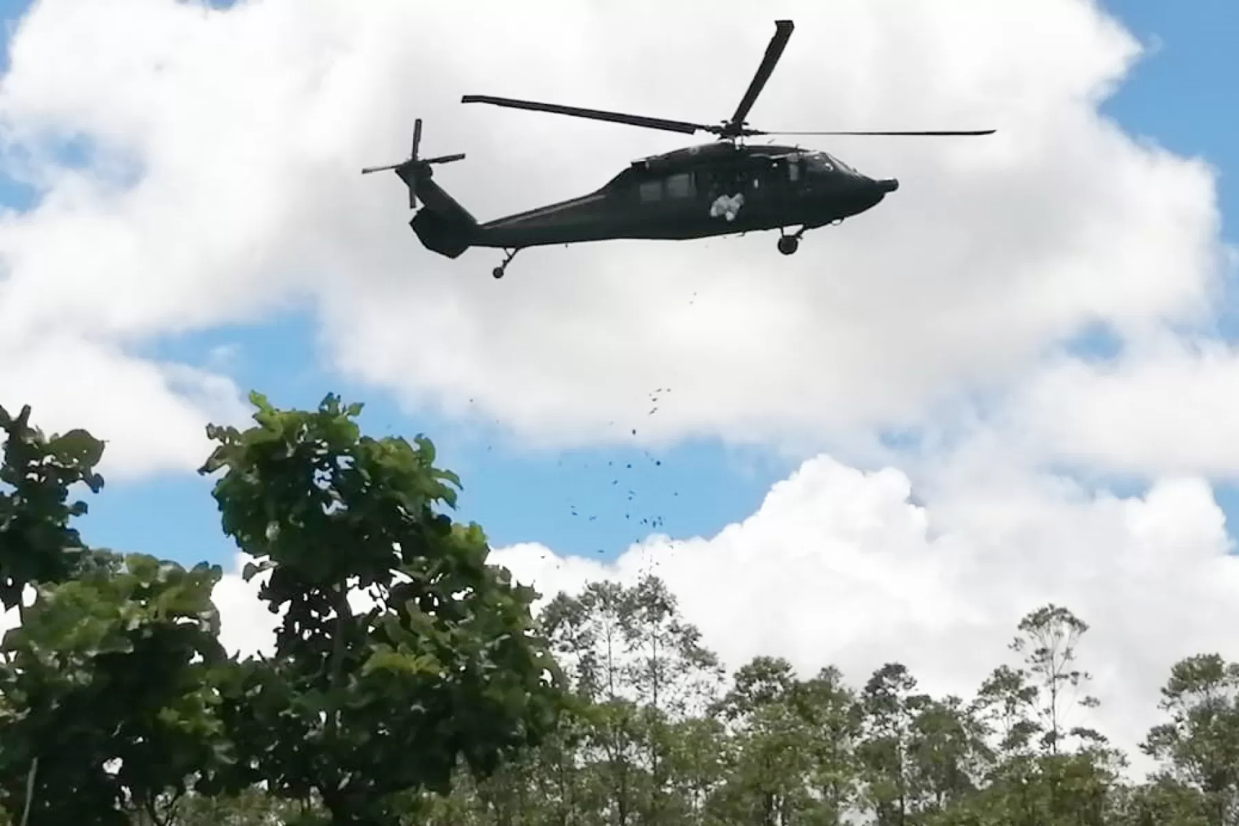 22.000 semillas de árboles nativos esparció el Ejército en Casanare.